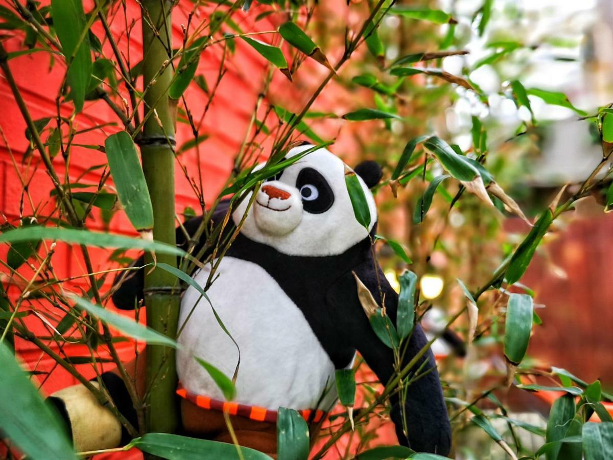 Twin Panda Guesthouse Σεούλ Εξωτερικό φωτογραφία